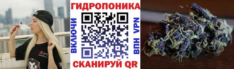 Купить наркотики сайты Балтийск Гашиш СК Меф АМФЕТАМИН Галлюциногенные грибы Бошки Шишки COCAIN