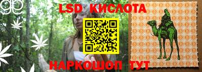 ГАЛЛЮЦИНОГЕННЫЕ ГРИБЫ Северобайкальск