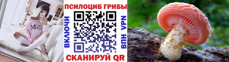 Псилоцибиновые грибы мухоморы  наркошоп  Балтийск 