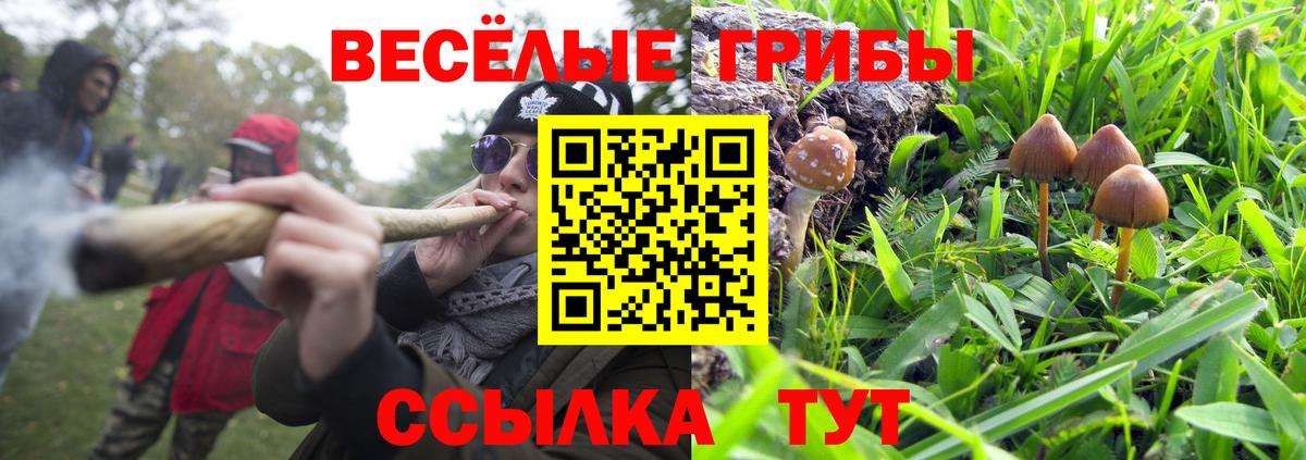 Галлюциногенные грибы Cubensis  Вход с VPN  Псилоцибиновые грибы GOLDEN TEACHER  Балтийск 