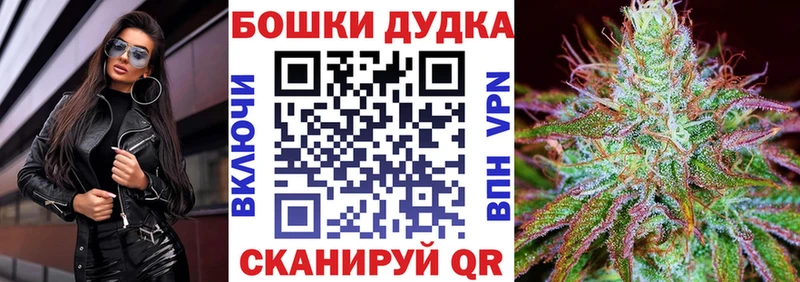 где можно купить   Балтийск  Шишки марихуана White Widow 